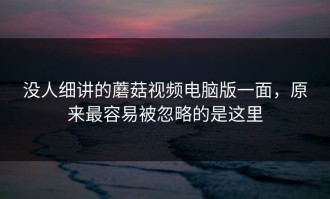没人细讲的蘑菇视频电脑版一面，原来最容易被忽略的是这里