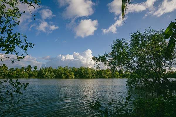 蘑菇影视在线观看到底怎么回事，表面平静下面其实早就炸开了，越看越觉得有猫腻